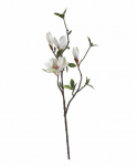Magnolia Branch 80CM
