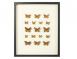 S.O.U.L Wall Art Butterflies H600Xw500Mm Multcol