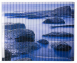 Acrylic Flextray