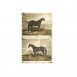 Wall Art Horses H610X750X35Mm A/2